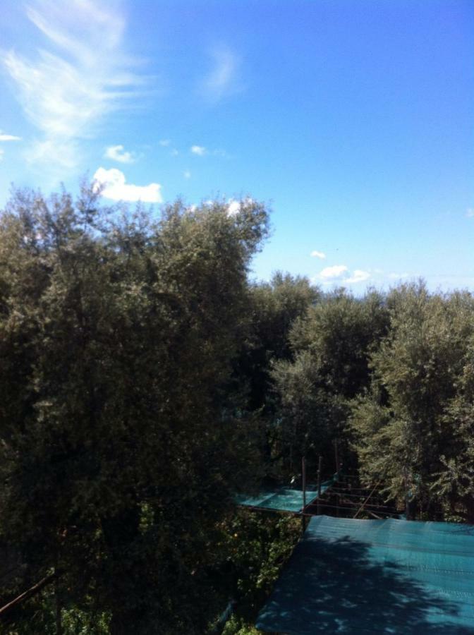Villa Casa Iolanda à Sorrente Extérieur photo